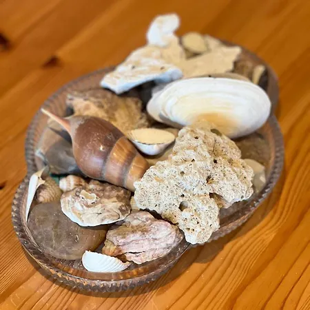 Semesterbostad Flip-flop Damp